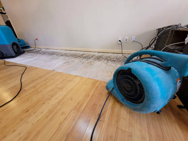 Professional Flood Damage Cleanup technician working in Malone, TX